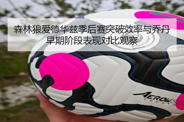 森林狼爱德华兹季后赛突破效率与乔丹早期阶段表现对比观察