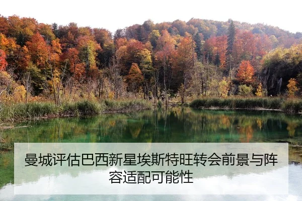 曼城评估巴西新星埃斯特旺转会前景与阵容适配可能性