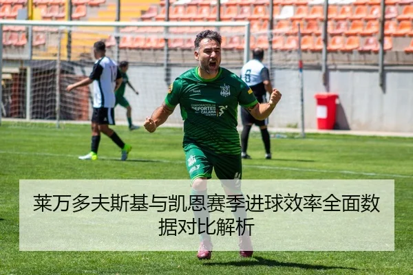 莱万多夫斯基与凯恩赛季进球效率全面数据对比解析