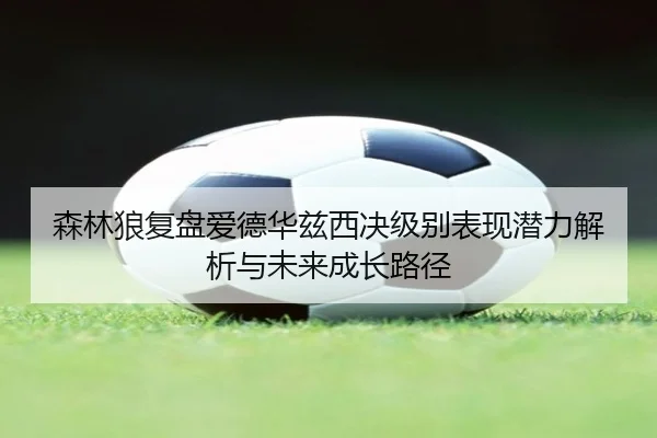 森林狼复盘爱德华兹西决级别表现潜力解析与未来成长路径