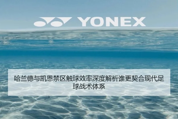哈兰德与凯恩禁区触球效率深度解析谁更契合现代足球战术体系